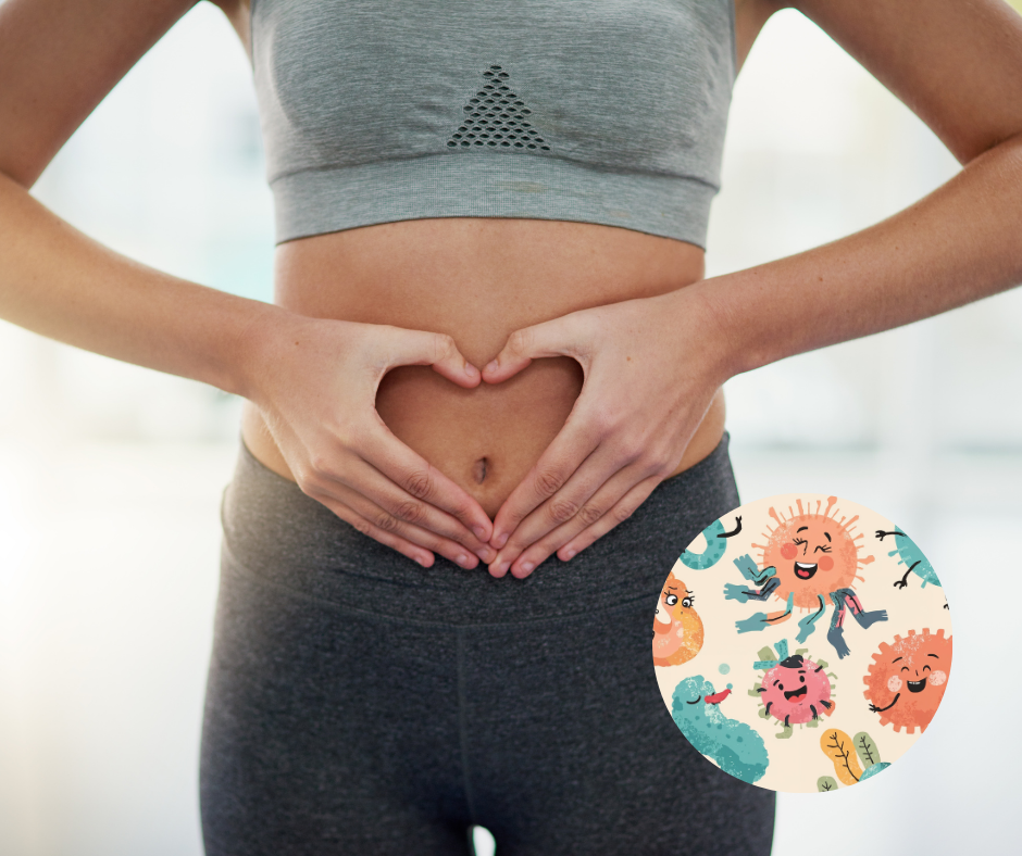 Image showing the Gut Immune connection