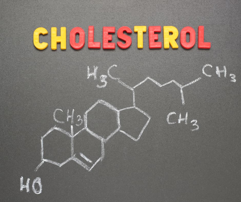 Cholesterol impact on gut health and heart disease